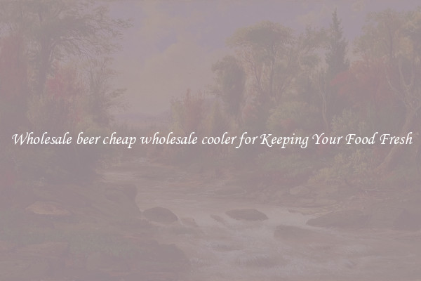 Wholesale beer cheap wholesale cooler for Keeping Your Food Fresh