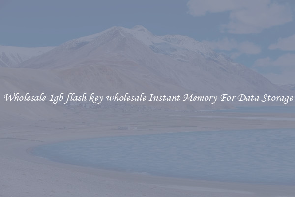 Wholesale 1gb flash key wholesale Instant Memory For Data Storage
