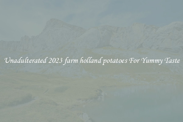 Unadulterated 2023 farm holland potatoes For Yummy Taste