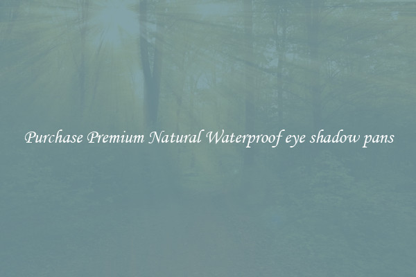 Purchase Premium Natural Waterproof eye shadow pans