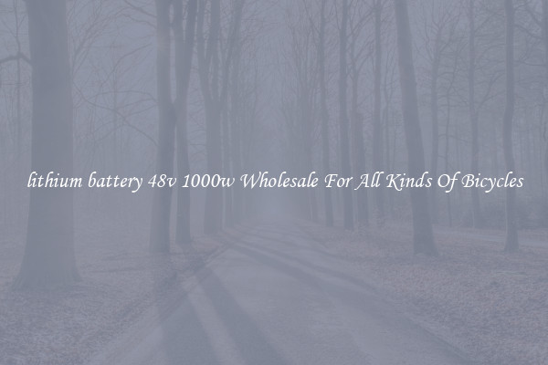 lithium battery 48v 1000w Wholesale For All Kinds Of Bicycles