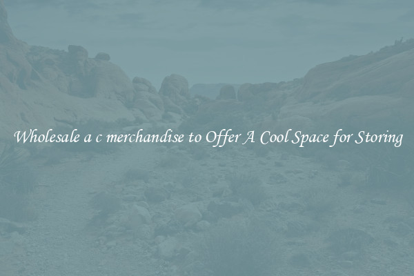 Wholesale a c merchandise to Offer A Cool Space for Storing