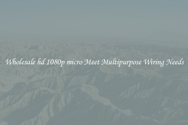 Wholesale hd 1080p micro Meet Multipurpose Wiring Needs