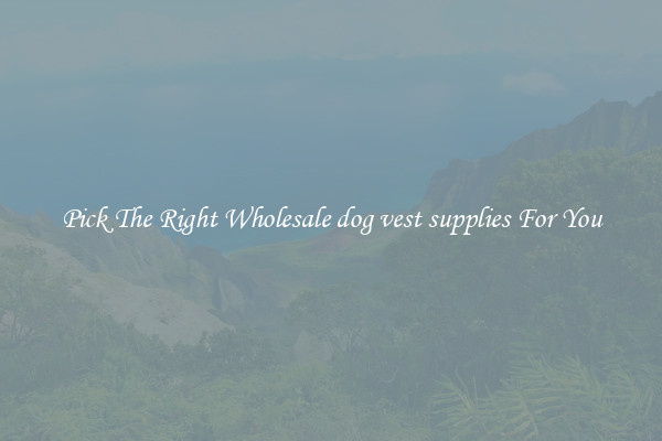 Pick The Right Wholesale dog vest supplies For You