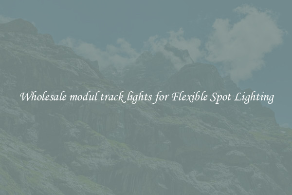 Wholesale modul track lights for Flexible Spot Lighting
