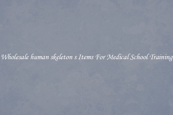 Wholesale human skeleton s Items For Medical School Training