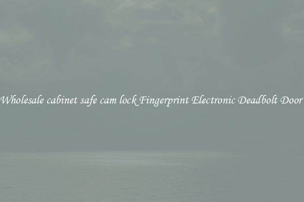 Wholesale cabinet safe cam lock Fingerprint Electronic Deadbolt Door 