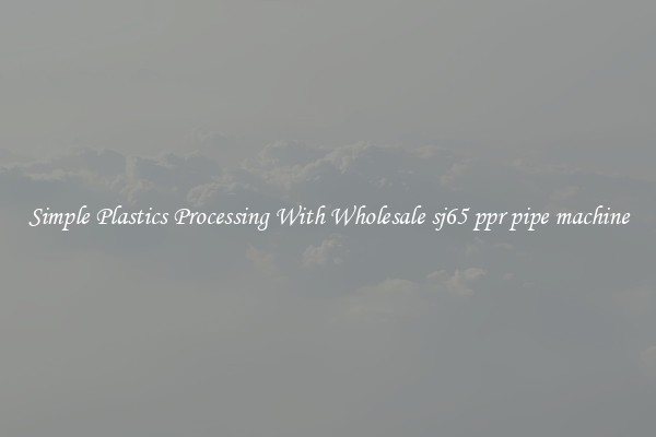Simple Plastics Processing With Wholesale sj65 ppr pipe machine