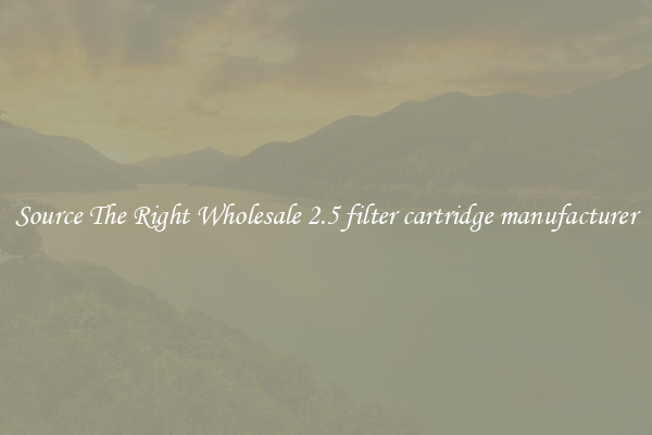 Source The Right Wholesale 2.5 filter cartridge manufacturer
