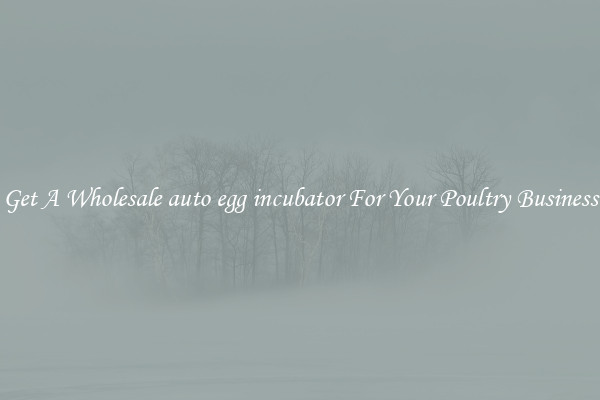 Get A Wholesale auto egg incubator For Your Poultry Business