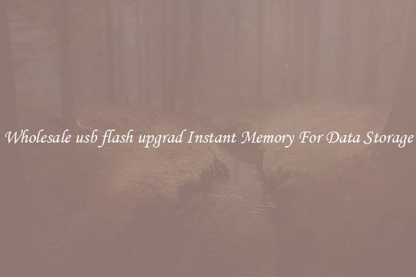 Wholesale usb flash upgrad Instant Memory For Data Storage
