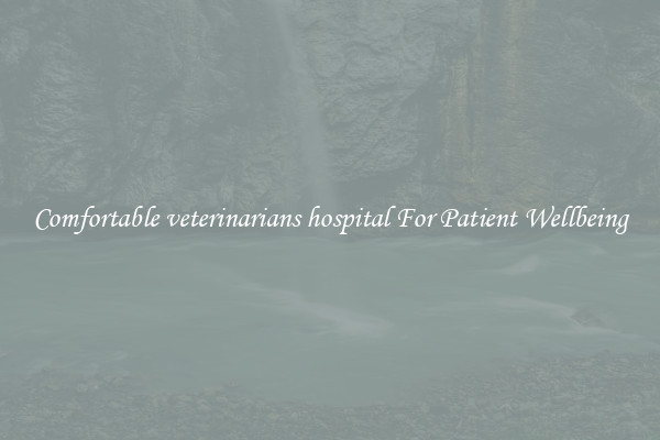 Comfortable veterinarians hospital For Patient Wellbeing