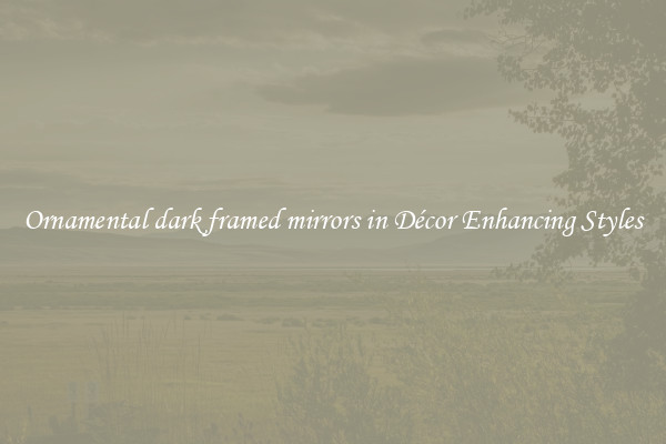 Ornamental dark framed mirrors in Décor Enhancing Styles