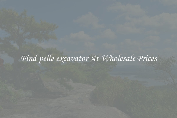 Find pelle excavator At Wholesale Prices