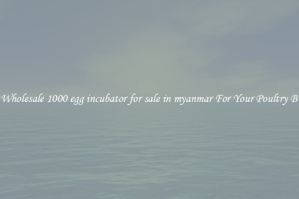 Get A Wholesale 1000 egg incubator for sale in myanmar For Your Poultry Business