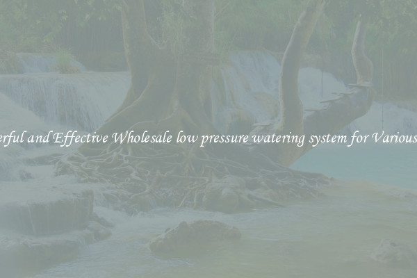 Powerful and Effective Wholesale low pressure watering system for Various Uses