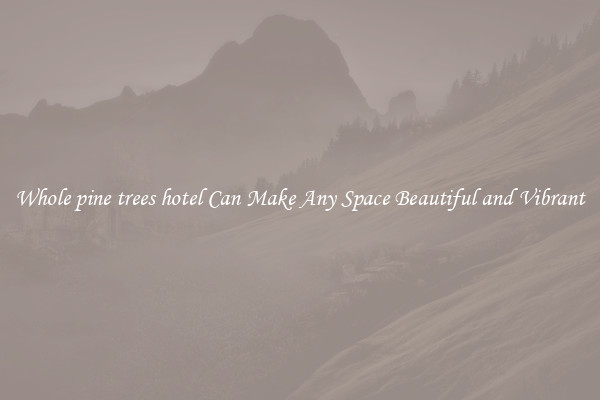 Whole pine trees hotel Can Make Any Space Beautiful and Vibrant