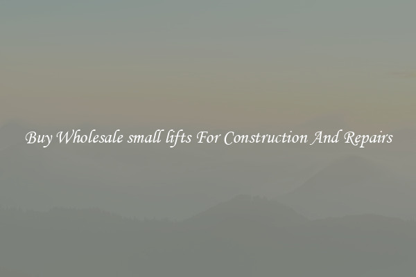 Buy Wholesale small lifts For Construction And Repairs